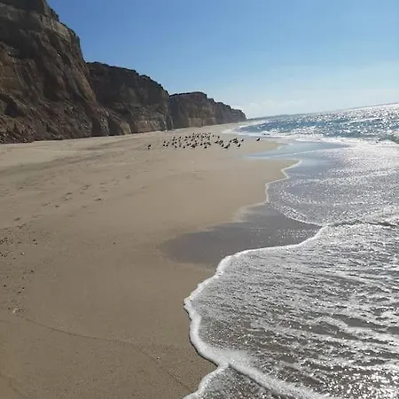Hébergement de vacances Casa De Ferias Óbidos